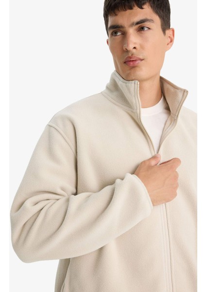 Relax Fit Yarım Balıkçı Yaka Fermuarlı Polar Hırka F0446AX25AU fırsatları