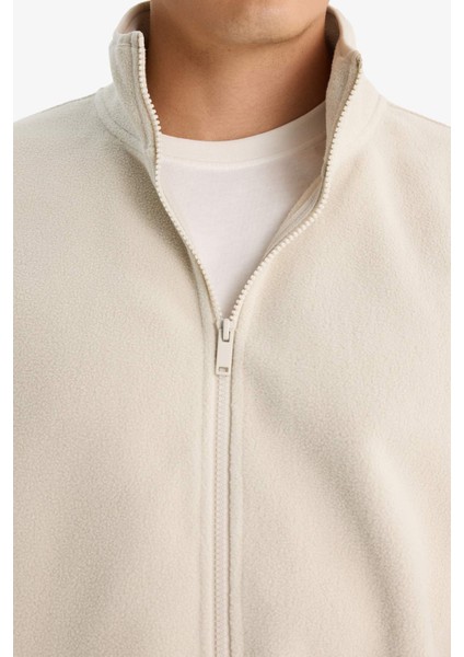 Relax Fit Yarım Balıkçı Yaka Fermuarlı Polar Hırka F0446AX25AU indirimleri