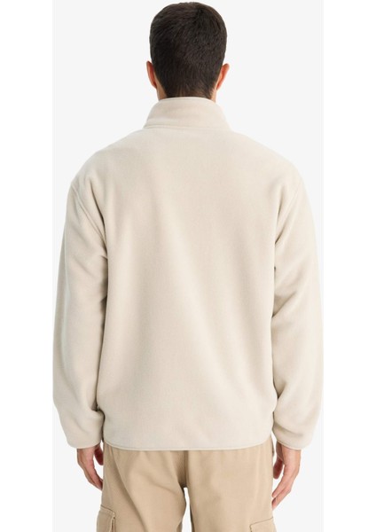 Relax Fit Yarım Balıkçı Yaka Fermuarlı Polar Hırka F0446AX25AU