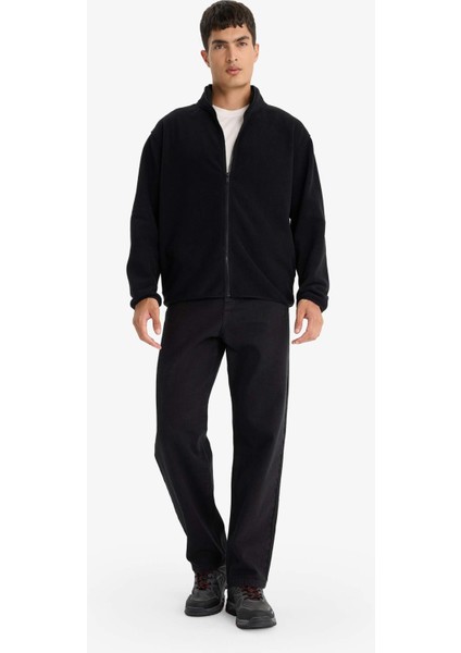 Relax Fit Yarım Balıkçı Yaka Fermuarlı Polar Hırka F0446AX25AU fiyatları