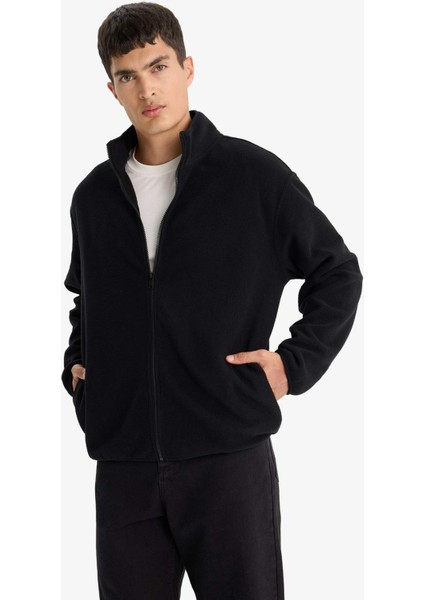 Relax Fit Yarım Balıkçı Yaka Fermuarlı Polar Hırka F0446AX25AU fırsatları