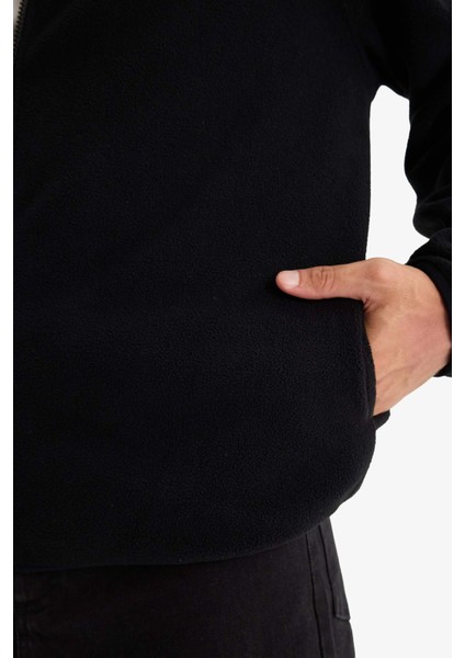 Relax Fit Yarım Balıkçı Yaka Fermuarlı Polar Hırka F0446AX25AU indirimleri