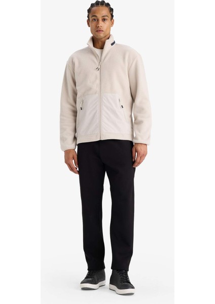 Fit Standart Fit Dik Yaka İçi Yumuşak Tüylü Polar Hırka F2303AX25WN fiyatları