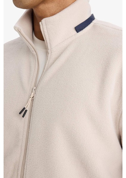 Fit Standart Fit Dik Yaka İçi Yumuşak Tüylü Polar Hırka F2303AX25WN indirimleri