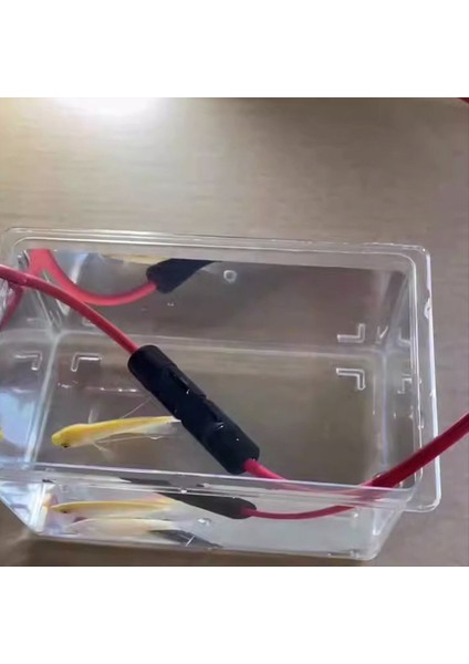 Power Solar Konnektör Y-Dal Kablosu, Paneller Için Paralel Kablo Adaptörü (Yurt Dışından) indirimleri