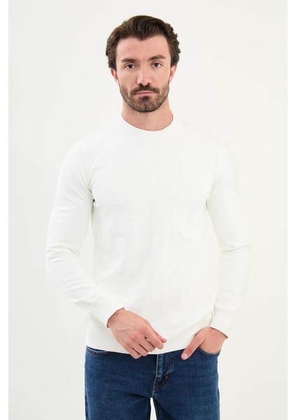 Desenli Slim Fit Bisiklet Yaka Erkek Triko Kazak 11566