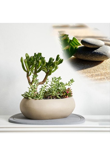 2 Adet Bitki Tabağı Hızlı Kurutma Bitki Tepsisi Diyatomlu Toprak Bitki Su Yakalama Tepsisi Iç Mekan ve Dış Mekan Için (Yurt Dışından) fırsatları