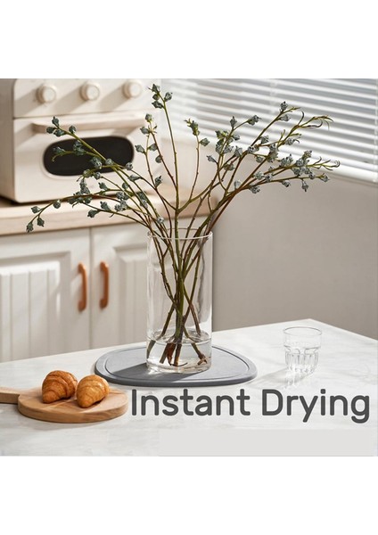 2 Adet Bitki Tabağı Hızlı Kurutma Bitki Tepsisi Diyatomlu Toprak Bitki Su Yakalama Tepsisi Iç Mekan ve Dış Mekan Için (Yurt Dışından) indirimleri