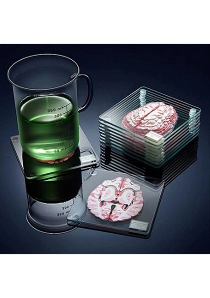 Beyin Örnek Makineleri Seti 3D Organ Beyin Sanatları Beyin Dilimleri Kare Akrilik Içecekler Masa Coaster (Yurt Dışından) fırsatları