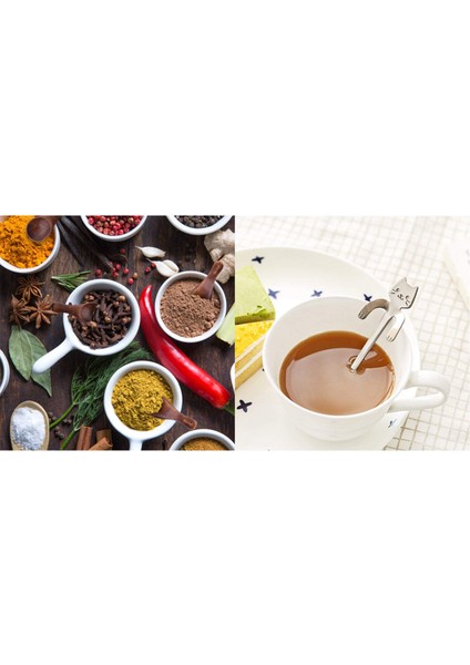 10 Adet Dondurma Tuz Kaşıkları ile 4pcs Kahve Kaşığı Paslanmaz Çelik Köpek Kaşık ve 4pcs Kedi Kaşık Tatlı Kaşık (Yurt Dışından) fiyatları