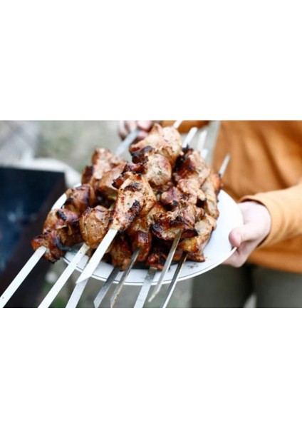 Metal Saplı Barbekü Şişi 6lı modelleri