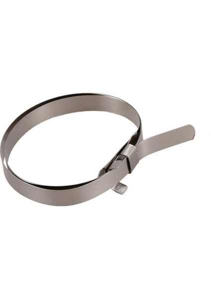 Araç Araç Sabit Hız Cv Boot Kelepçe Klipsli 10 Pcs (Yurt Dışından) fiyatları