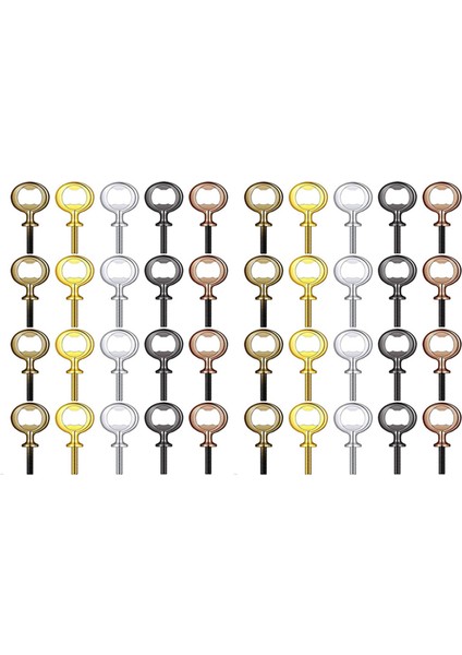 40PCS Metal Şişe Açıcı Boşluklar Paslanmaz Çelik Şişe Açıcı Ekler Kit Dişli Bira Açıcı Donanımı 5 Renk (Yurt Dışından)