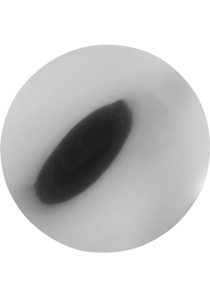 300PCS 3inç Gümüş Şarap Dökme Disk Damla Geçirmez Damla Dökme Dökme Püskürtme (Yurt Dışından) fırsatları