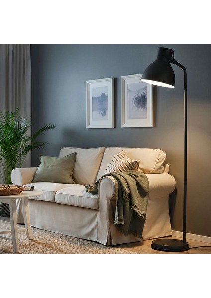 Hektar Yer Lambası Koyu Gri 185 cm fiyatları