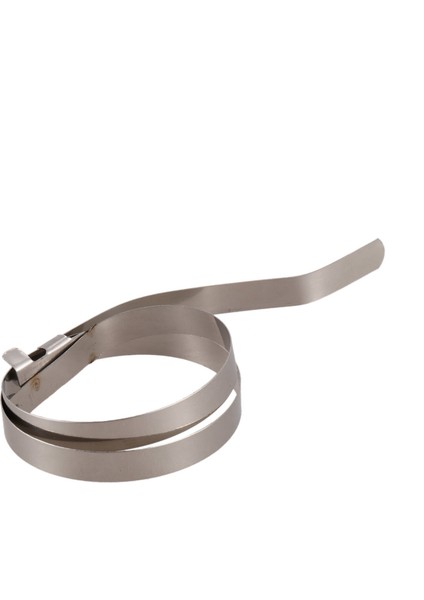 Araç Araç Sabit Hız Cv Boot Kelepçe Klipsli 12 Pcs (Yurt Dışından) fırsatları