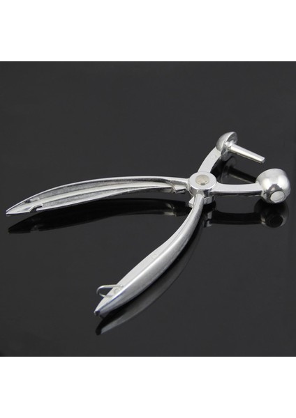 2x Gümüş Alüminyum Kiraz Pitter Kırmızı Tarihler Zeytin Çukuru Kolay Çıkarma Çekirdek Sıkma Kelepçesi Tohumörü 18 x 3 5cm (Gümüş) (Yurt Dışından) modelleri