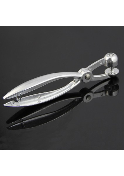 2x Gümüş Alüminyum Kiraz Pitter Kırmızı Tarihler Zeytin Çukuru Kolay Çıkarma Çekirdek Sıkma Kelepçesi Tohumörü 18 x 3 5cm (Gümüş) (Yurt Dışından) indirimleri