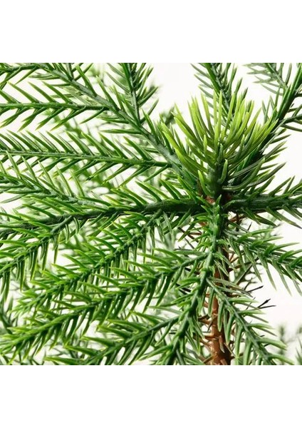Fejka Yapay Bitki Yeşil 15 cm Norfolk Adası Çamı Iç Dış Mekan fiyatları