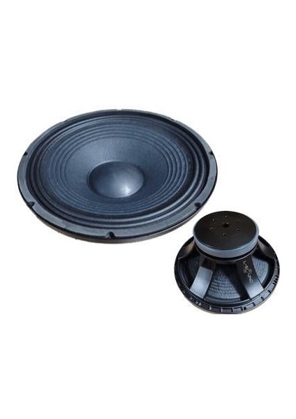30CM (12 Inç) 500 Watt Profesyonel Döküm Kasa Hoparlör - 8 Ohm