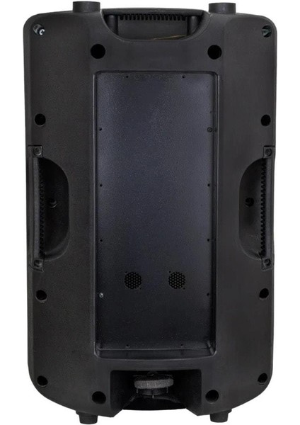 25 cm 10 Inç Boş Plastik Hoparlör Kabini Model M modelleri