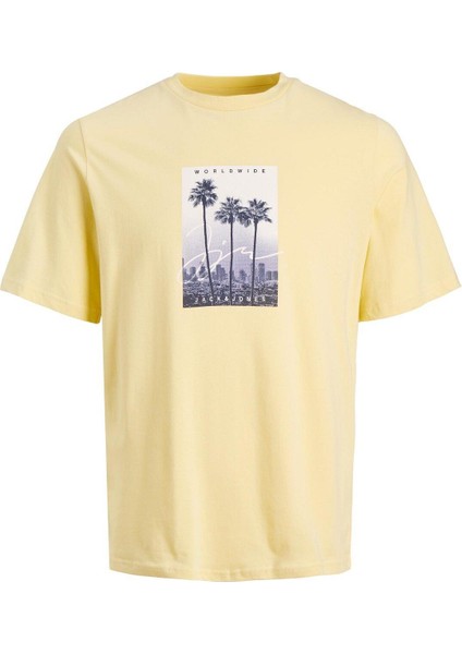 Erkek Önü Baskılı Tişört 12235522