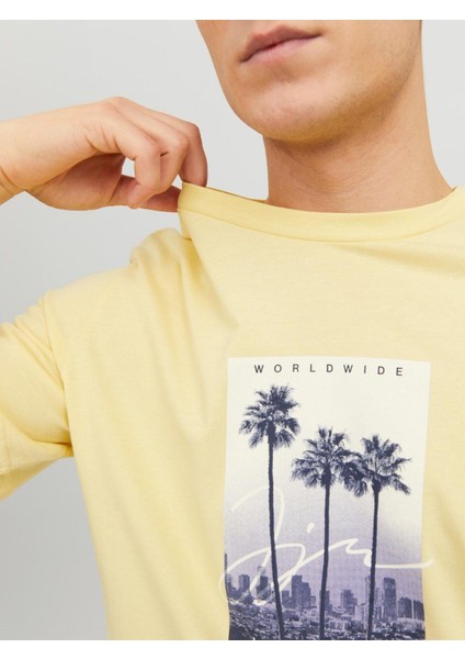 Erkek Önü Baskılı Tişört 12235522