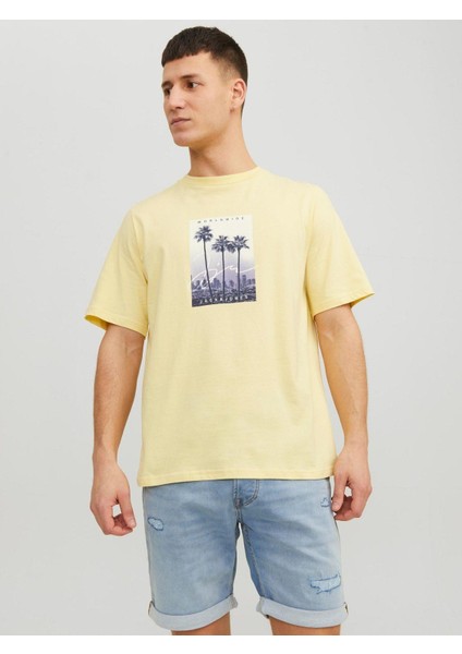 Erkek Önü Baskılı Tişört 12235522