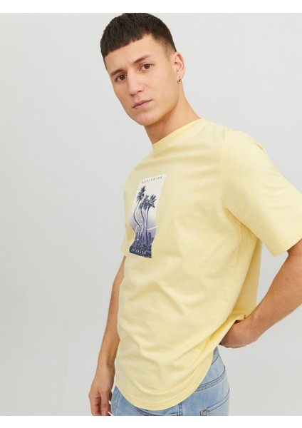 Erkek Önü Baskılı Tişört 12235522