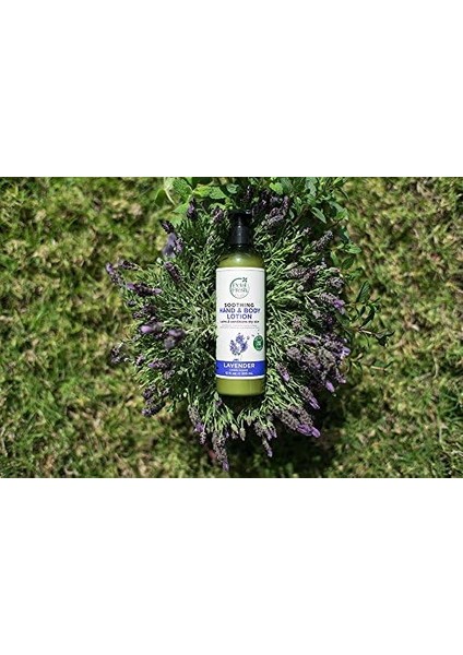 Petal Fresh Lavanta Özlü Yatıştırıcı El ve Vücut Losyonu, 355 ml modelleri