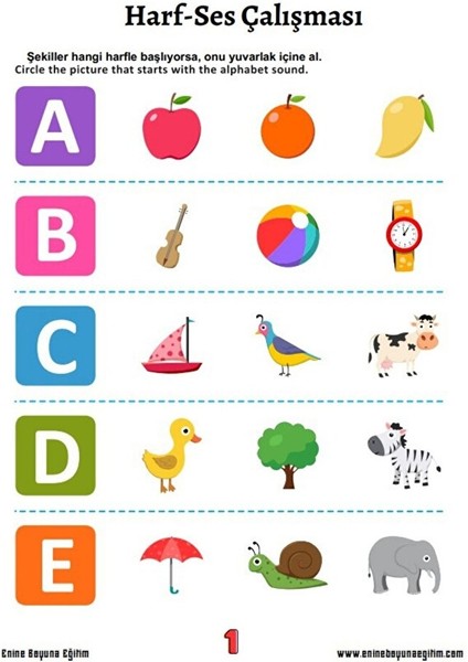 Kendi Kendine Ingilizce Eğitim Seti (6000 Pdf Sayfası) fırsatları