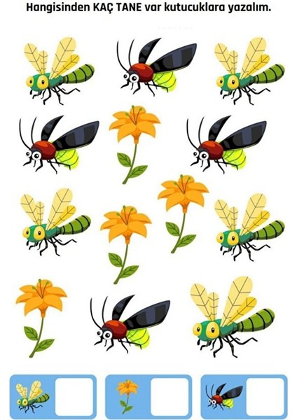 Kodlama Aktivite Eğitim Seti fırsatları