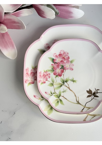 Blossom Pasta Tabak 7'li fiyatları