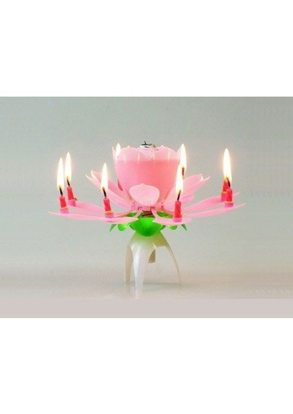 Müzikli Mum fırsatları