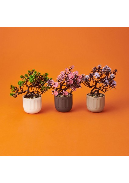Dekor Yapay Bonsai - Asorti - 12X17 cm modelleri
