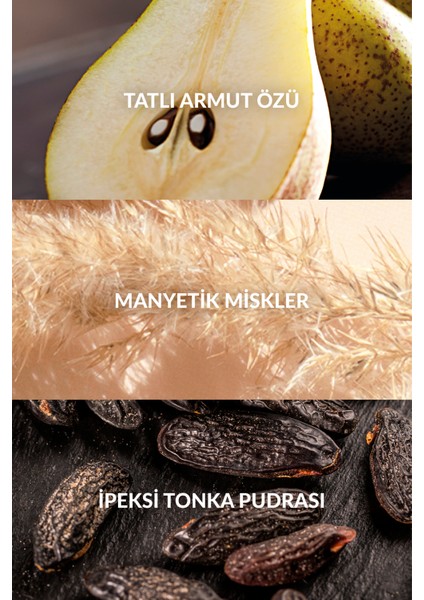 Attraction Kadın Parfüm Edp 30 Ml. indirimleri