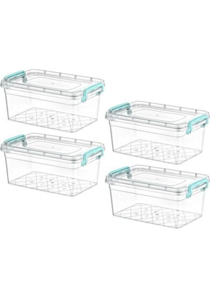 Plastik Kutu Kapaklı Taşıma Saplı Saklama Kabı 4lü Set