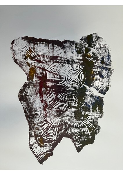 Ağaç Yaş Halkası Baskı Çalışması Poster Tablo Resim Sanat Wood Art fırsatları