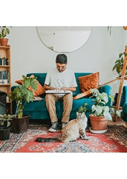 Minilab 3 Beyaz Midi Klavye 25 Tuşlu Hız Hassasiyetli Kontroller ile Müzik Üretimi İçin