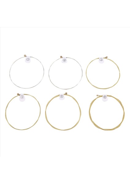 6 Tel/set Ziko Dag Akustik Gitar Dizeleri Müzik Aletleri Akustik Gitar Ipi Gitar Parçaları DAG-010 (Yurt Dışından)