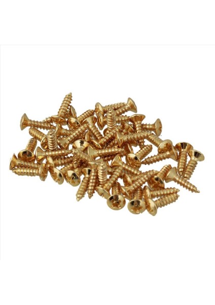 250X Gitar Bas Vidaları Çizik Plakaları Için Parçalar Pickguard Altın (Yurt Dışından) fiyatları