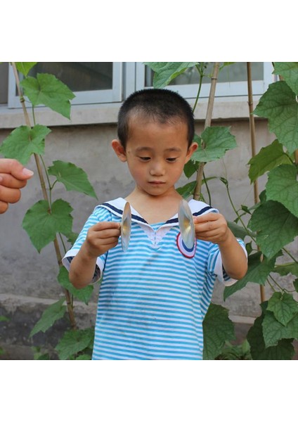 Dansçı Parti Perküsyon Enstrümanı Için Ahşap Düğmeleri Olan Topuz Zilleri ile 1 Çift Pirinç Zil (Yurt Dışından) indirimleri