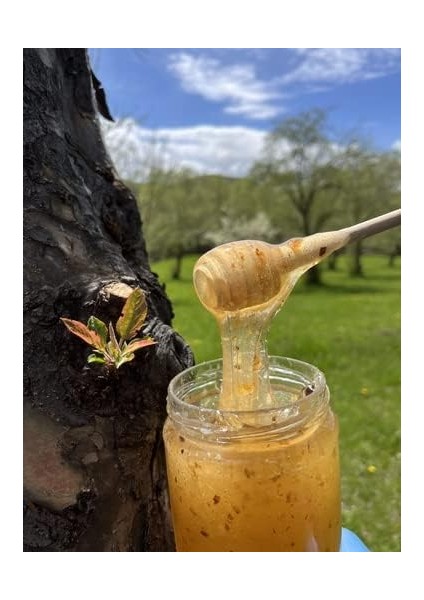 Köyden Gelsin Süzme Bal (850 Gram) modelleri