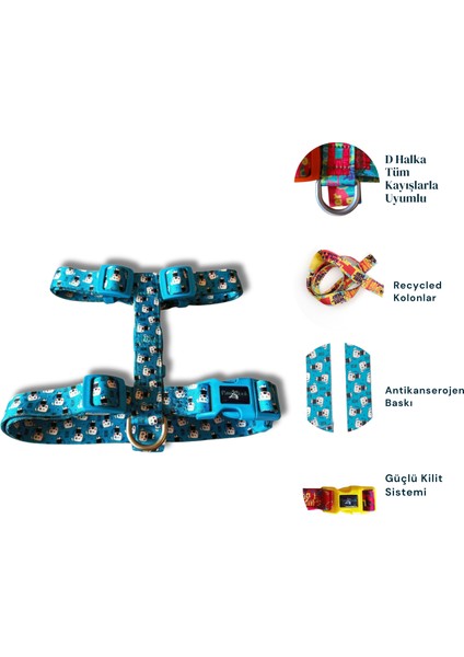 Design H Tipi Göğüs Tasması,köpek Göğüs Tasması fiyatları