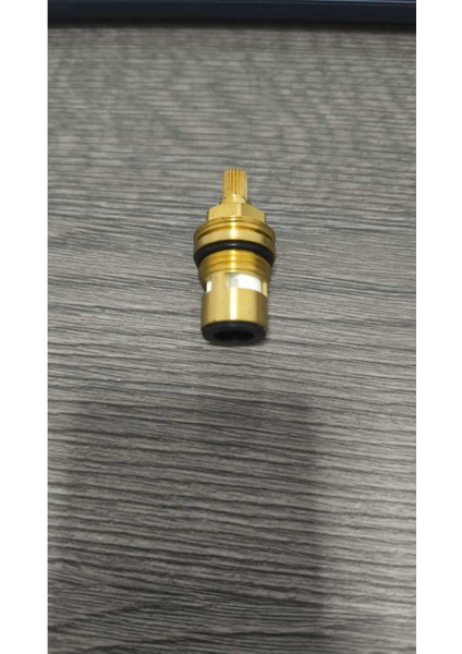 V100 Salmastra fiyatları