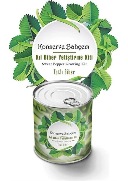 Konserve Bahçem Evde Konservede Tatlı Sivri Biber Yetiştirme Kiti fiyatları