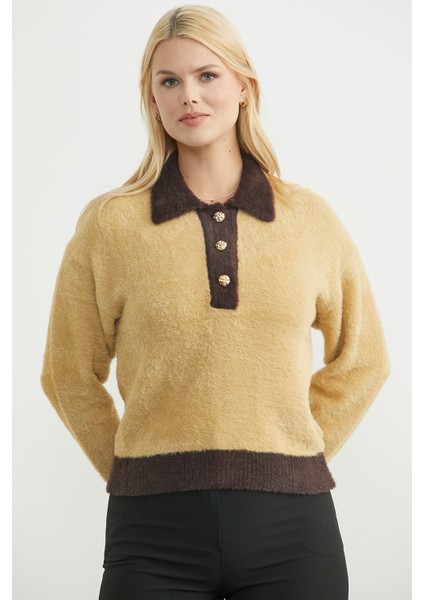 Polo Yaka Renk Geçişli Triko Kazak - Bej