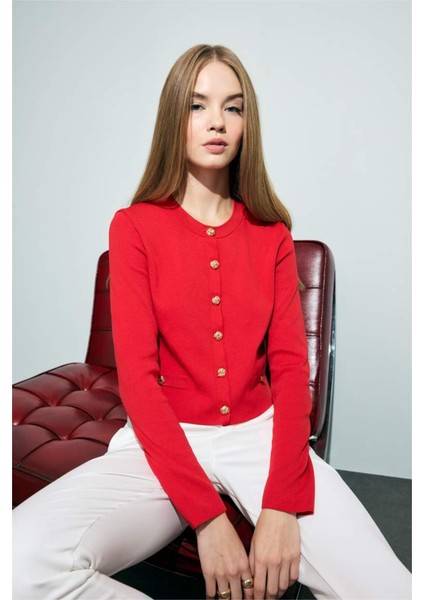 Regular Fit Bisiklet Yaka Triko Hırka F7778AX25WN