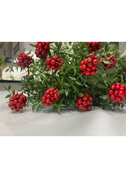 Kokina Çiçeği (1 Demet 15 Dal) Yılbaşı Çiçeği - Şans Çiçeği