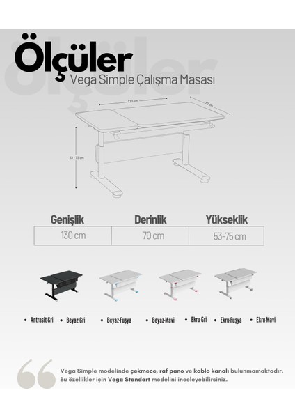Vega Simple Minimalist Ofis Masası Yüksek Ayarlı ve Eğimli Çalışma Masası - 130x70 Cm, Antrasit/Gri